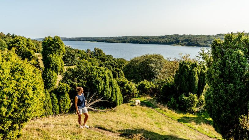 Kvinne på tur i Bramslev Bakker, Mariager Fjord, Nordjylland