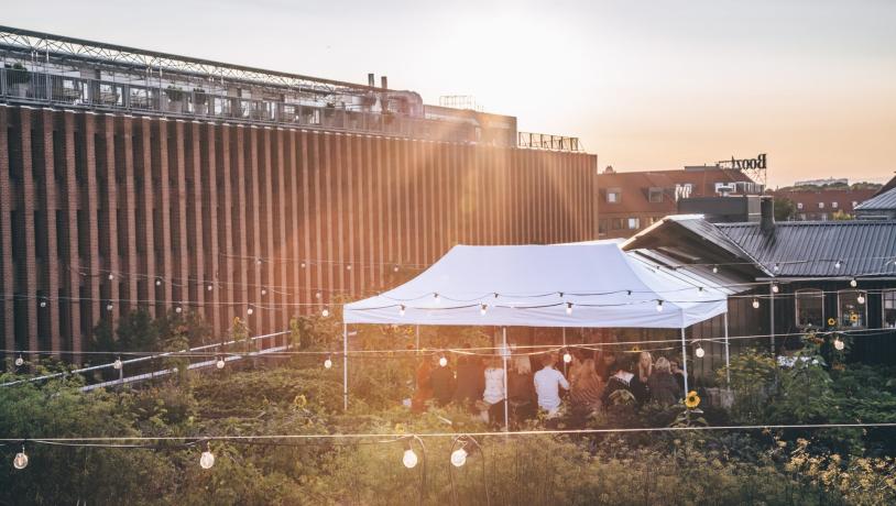 People enjoying dinner at Gro Spiseri a rooftop farm in Copenhagen