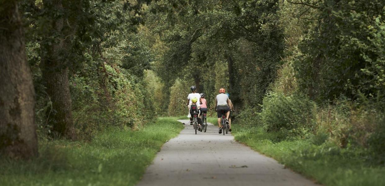 Biking in Vejle