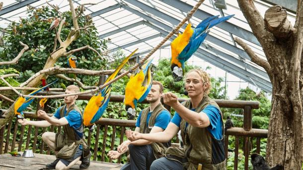 Workers at Jesperhus Feriepark sitting with colourful parrots