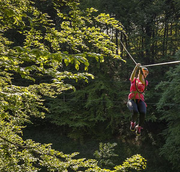 Camp Adventure Climbing park