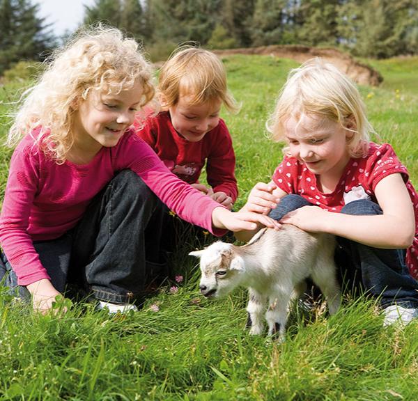 Children with goat at Skallerup Seaside Resort