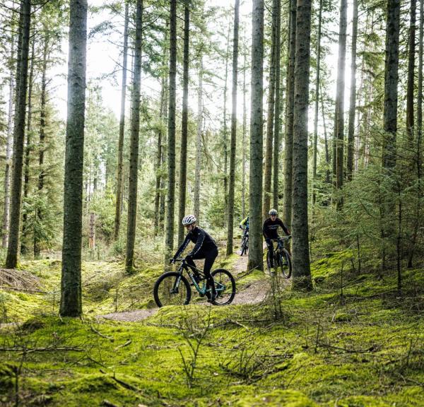 Mountainbikers fietsen over de Blåbjerg Platage