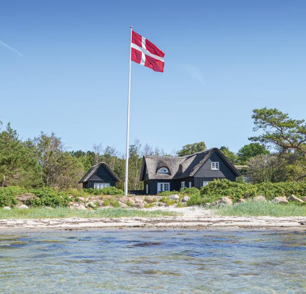 En stuga vid stranden med en dansk flagga framför