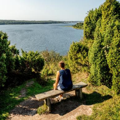 Een wandelaar kijkt vanaf een bankje uit over het Mariager Fjord in Denemarken