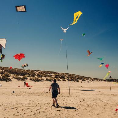 Blokhus Strand